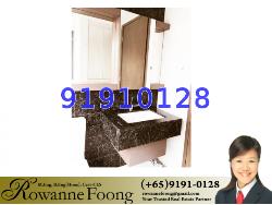 Starlight Suites (D9), Apartment #12848062